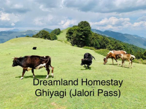 DreamLand Home stay (JALORI PASS)
